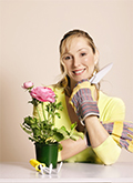Iris Bulbs Gardening Tips